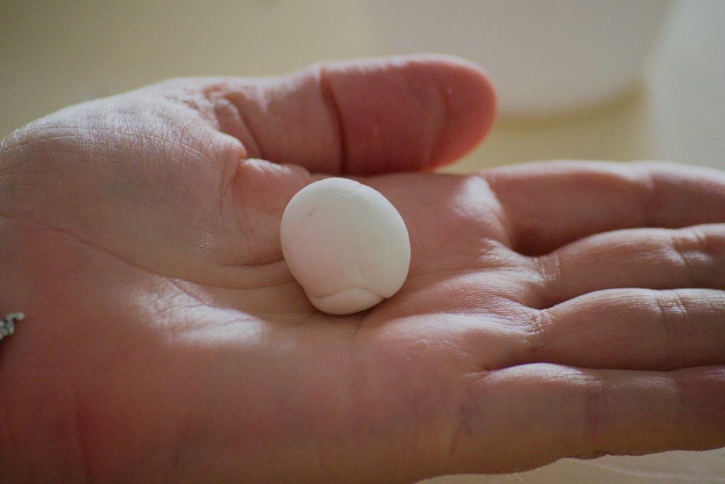 Bolita de masilla de porcelana